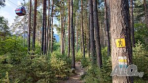 image_38