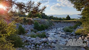 image_39
