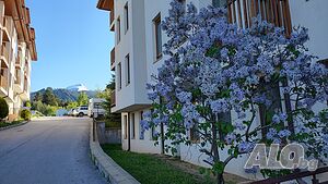 image_34