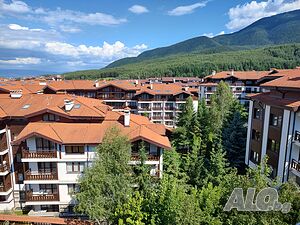 image_19