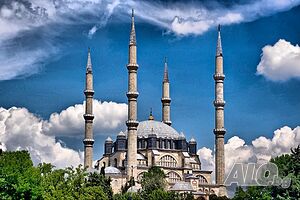 image_8