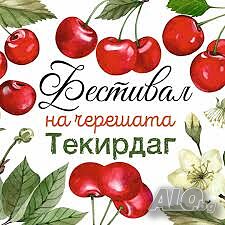 Фестивал на черешата в Текирдаг от 13.06.26 г. в Текирдаг - 110 € хотел 5 *****