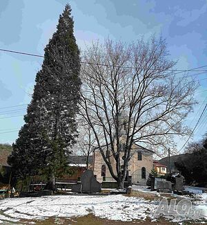 Продава парцел с. Горна Диканя обл. Перник