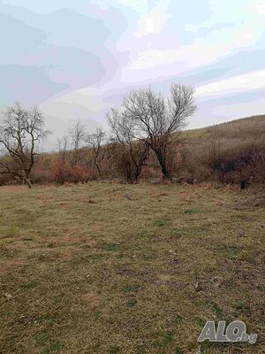 image_11