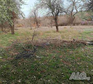 image_15