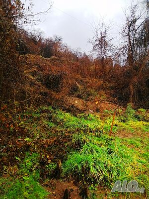 image_13