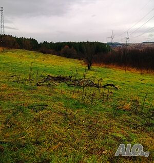 image_9