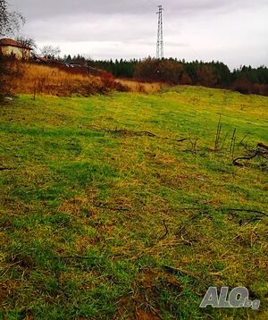 image_10