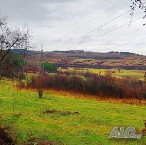image_11