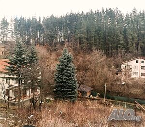image_9