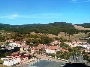 image_2