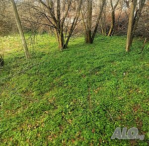image_8