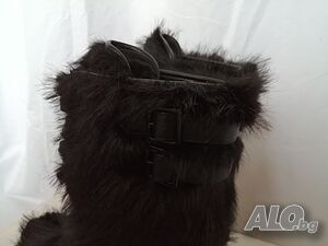 image_7
