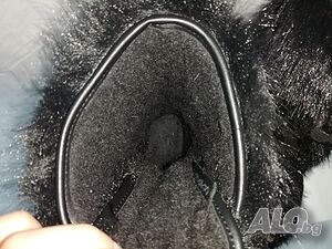 image_14