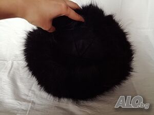 image_6