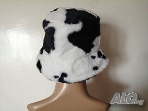 image_6