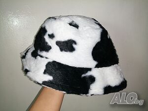 image_7