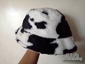 image_8