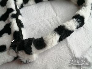 image_5