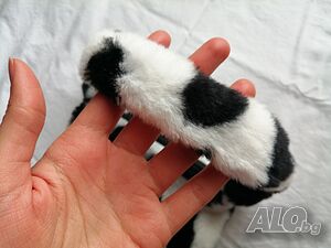 image_10
