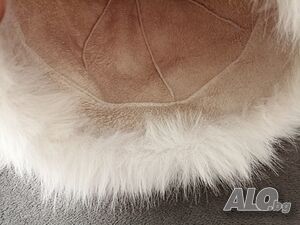 image_7