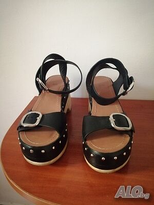 image_5