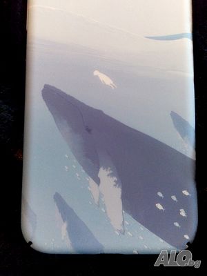 image_3