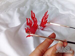image_5