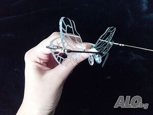 image_5