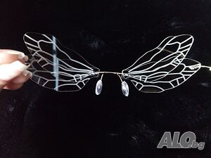 image_7