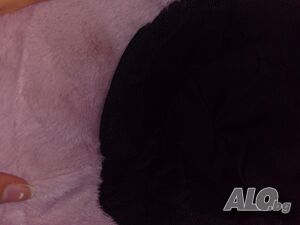 image_7