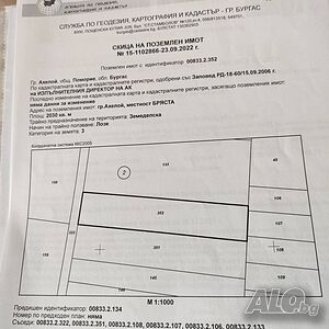 Лозе в землището на гр. Ахелой