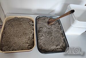Продавам домашно отгледана орубена лавандула (само цвят)