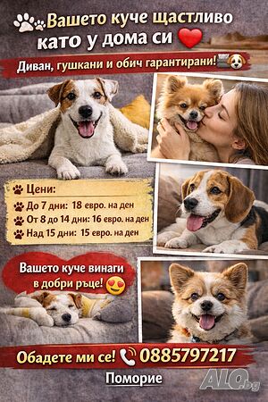 🐾 Вашето куче щастливо като у дома си ❤️ Диван, гушкания и обич гарантирани 🛋️🐶