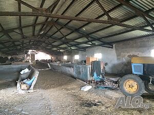 image_5