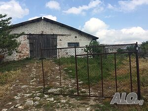image_6