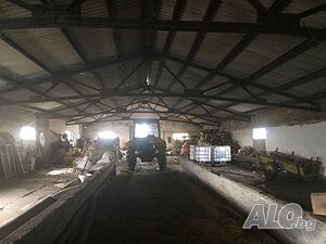 image_9