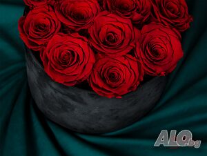 Естествени Вечни Рози в Кутия Покрита с Кадифе / Луксозен Подарък за Рожден Ден на Жена