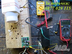image_12