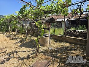 image_7