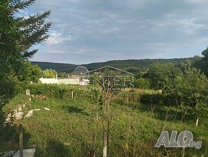 image_10