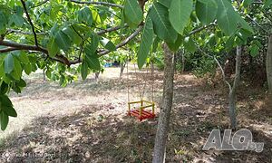 image_15