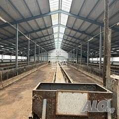 Многофункционален промишлен имот подходящ за производство, складова база или животновъдство