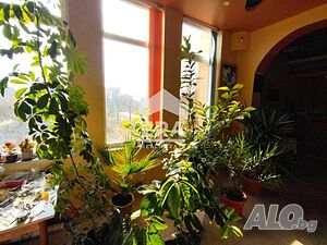 image_9