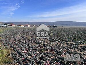 Ексклузивен парцел за продажба с ПУП в село Близнаци, област Варна