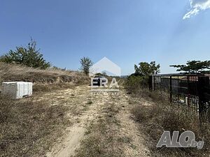 image_3