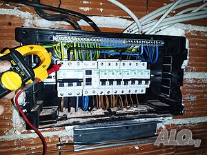 image_11