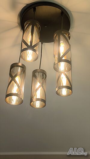image_3