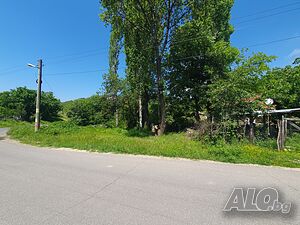 image_7