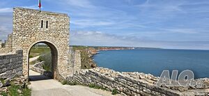 image_8